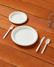 250 Piece Compostable Dinnerware Set