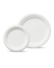 250 Piece Compostable Dinnerware Set